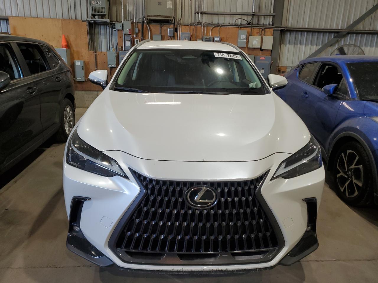 2023 LEXUS Nx