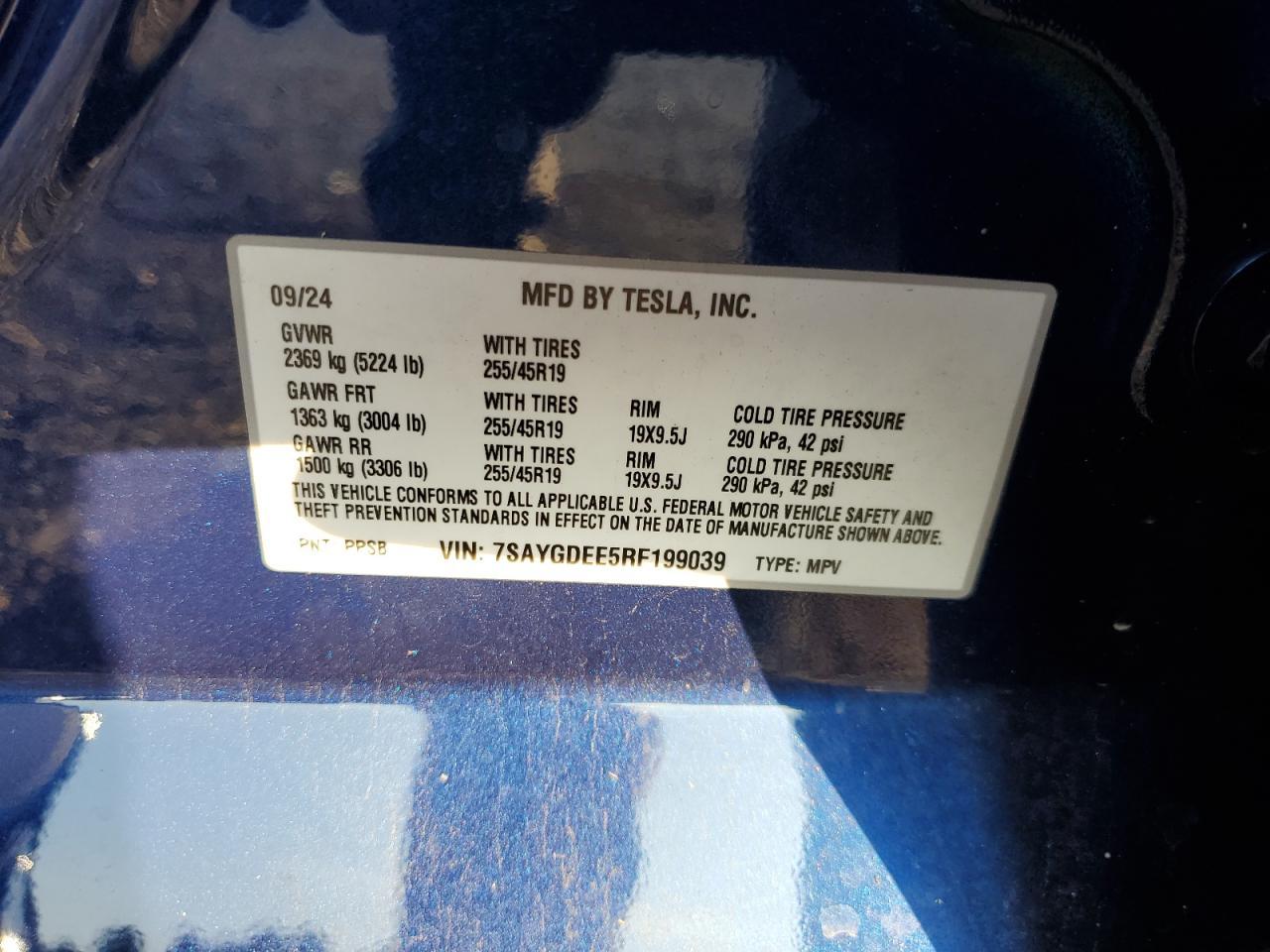 2024 TESLA MODEL Y