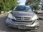 2010 HONDA CR-V