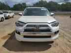 2023 TOYOTA 4Runner