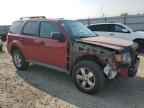 2009 FORD ESCAPE