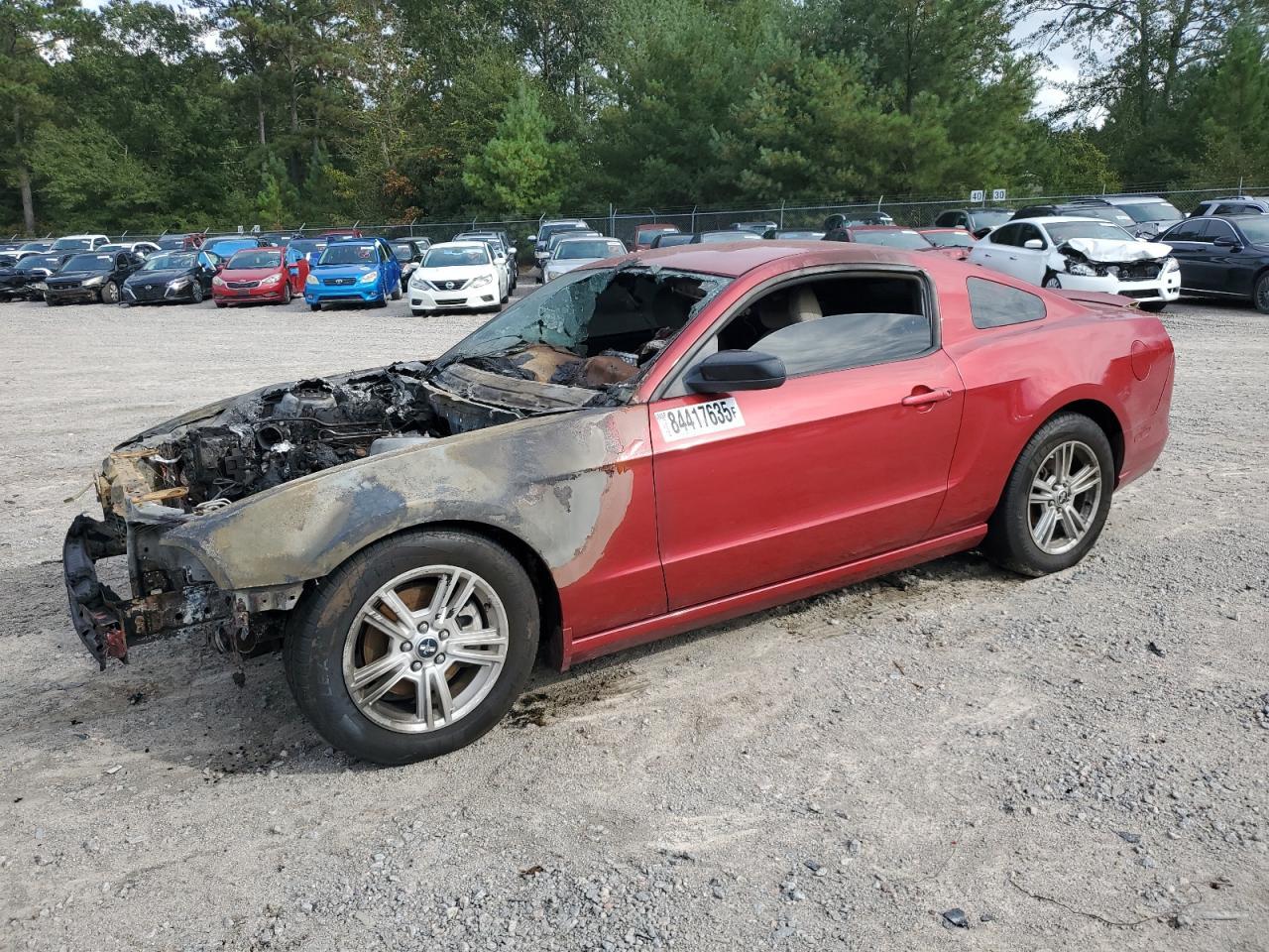 2013 FORD MUSTANG