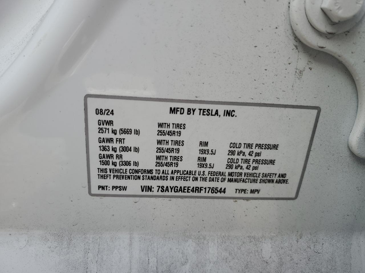 2024 TESLA MODEL Y