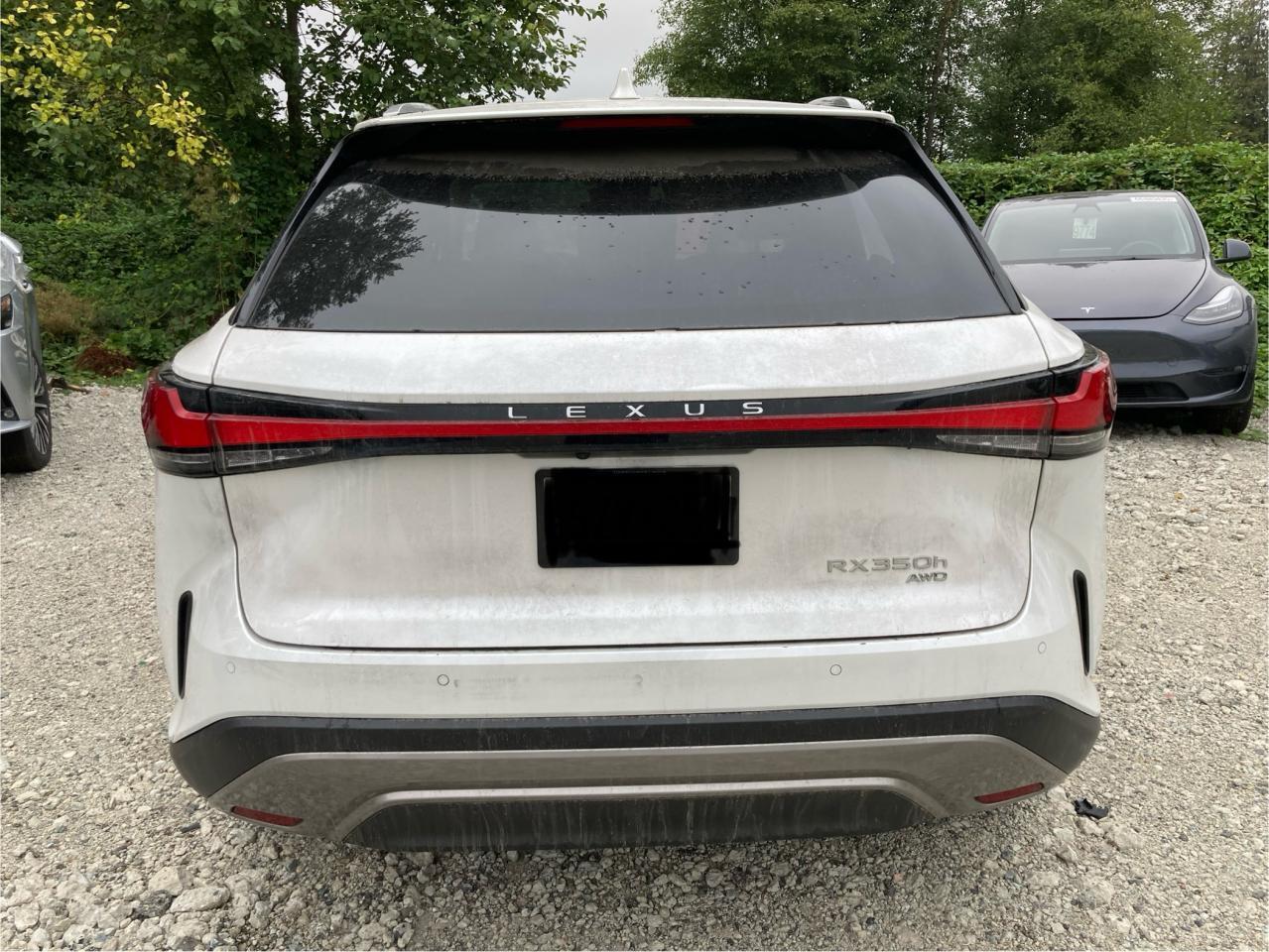 2023 LEXUS Rx