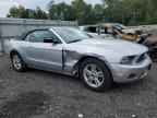 2013 FORD MUSTANG