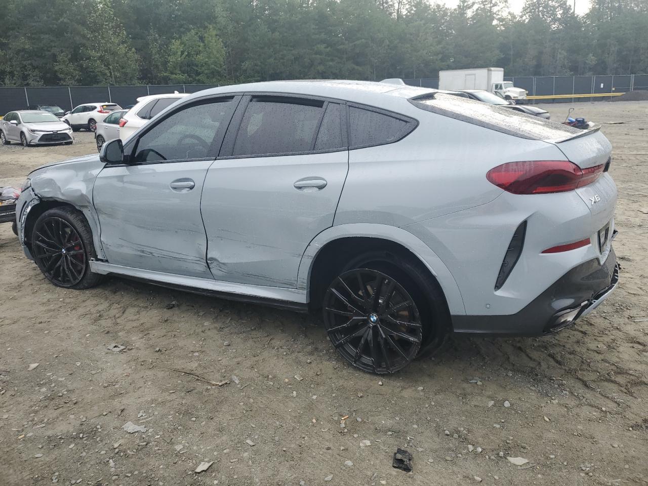 2025 BMW X6