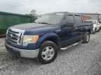 2009 FORD F-150