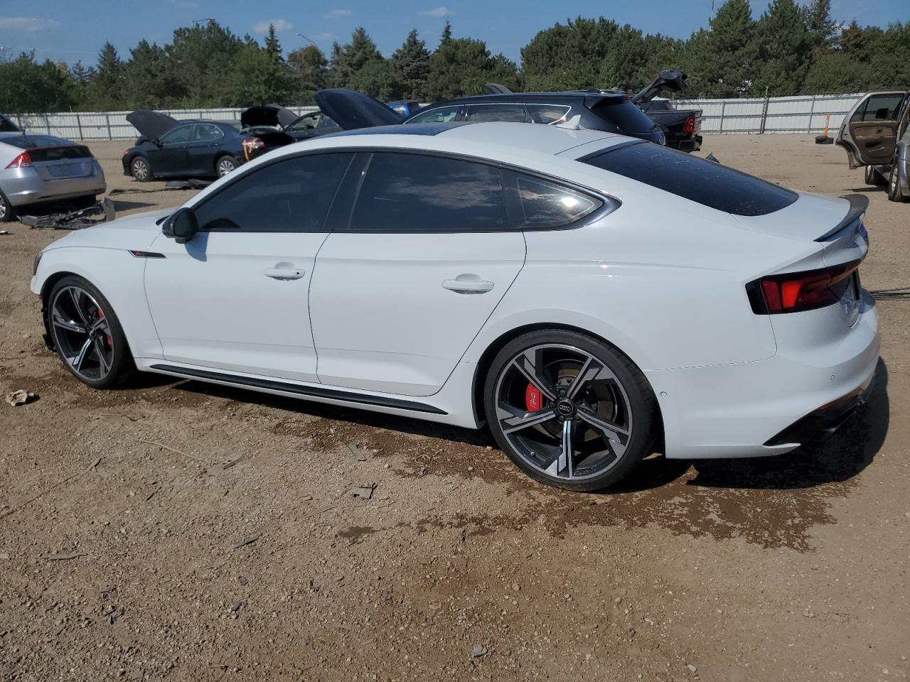 2019 AUDI RS5