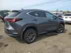2025 LEXUS Nx
