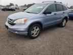 2010 HONDA CR-V
