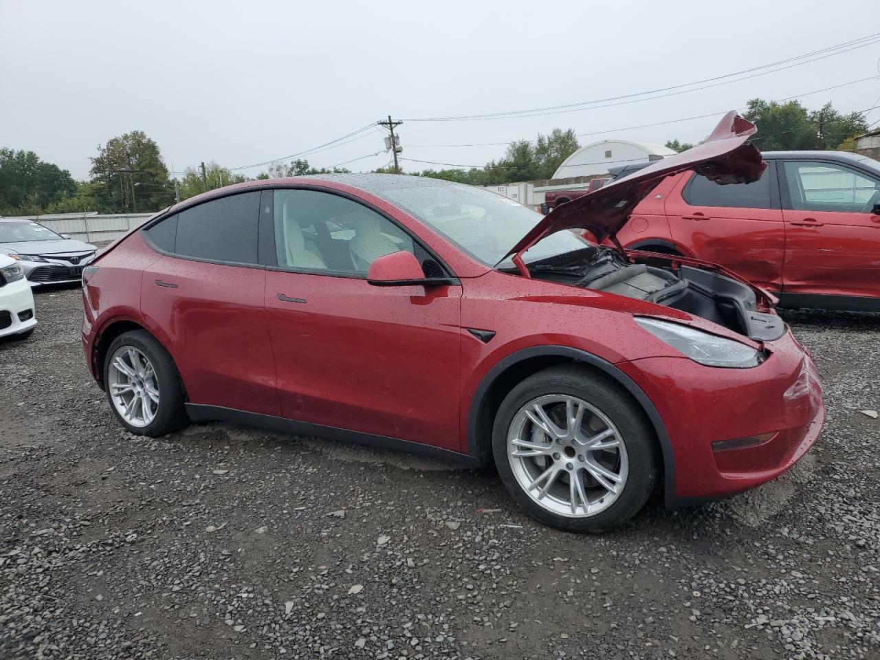 2024 TESLA MODEL Y