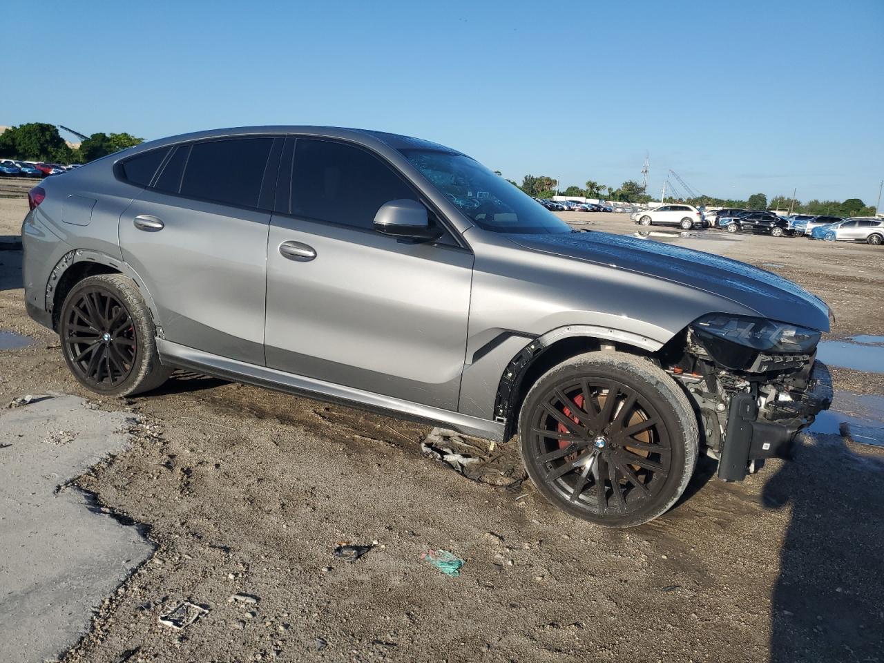 2024 BMW X6