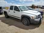 2006 DODGE Dakota