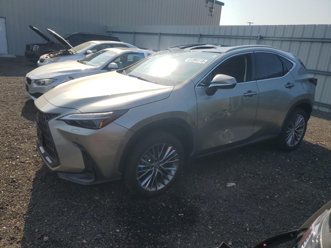 2023 LEXUS Nx