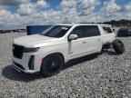 2024 CADILLAC ESCALADE