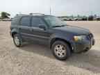 2006 FORD ESCAPE