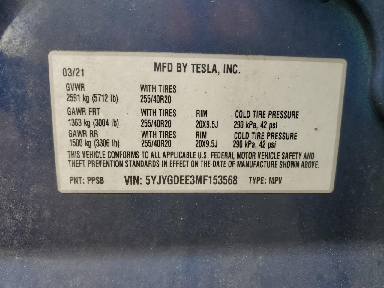 2021 TESLA MODEL Y