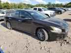2010 NISSAN Maxima