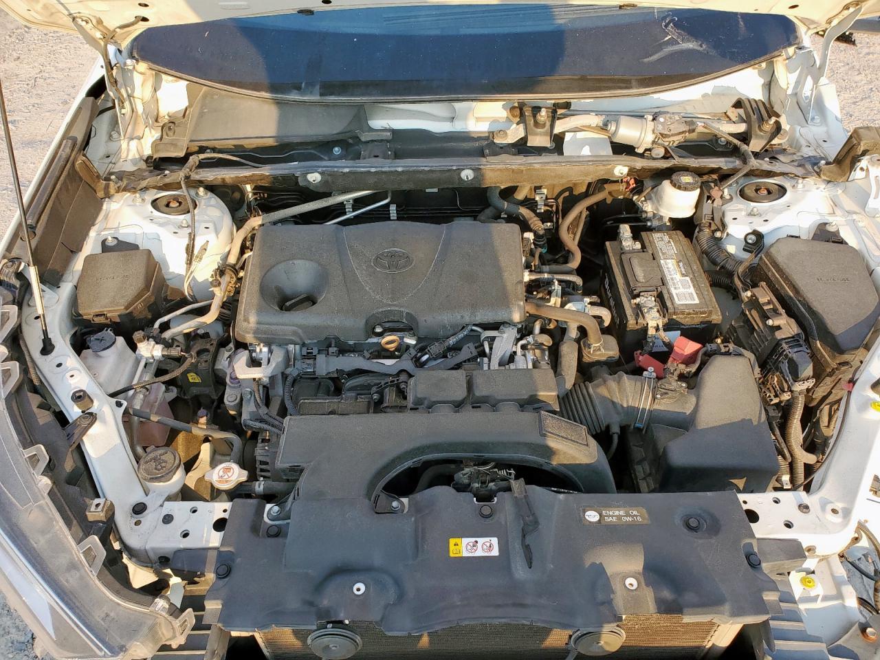 2019 TOYOTA RAV4
