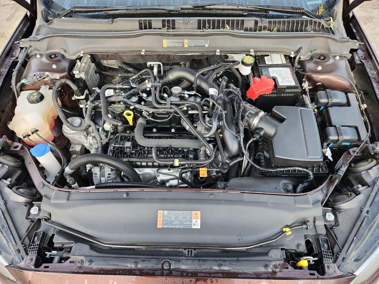 2019 FORD FUSION
