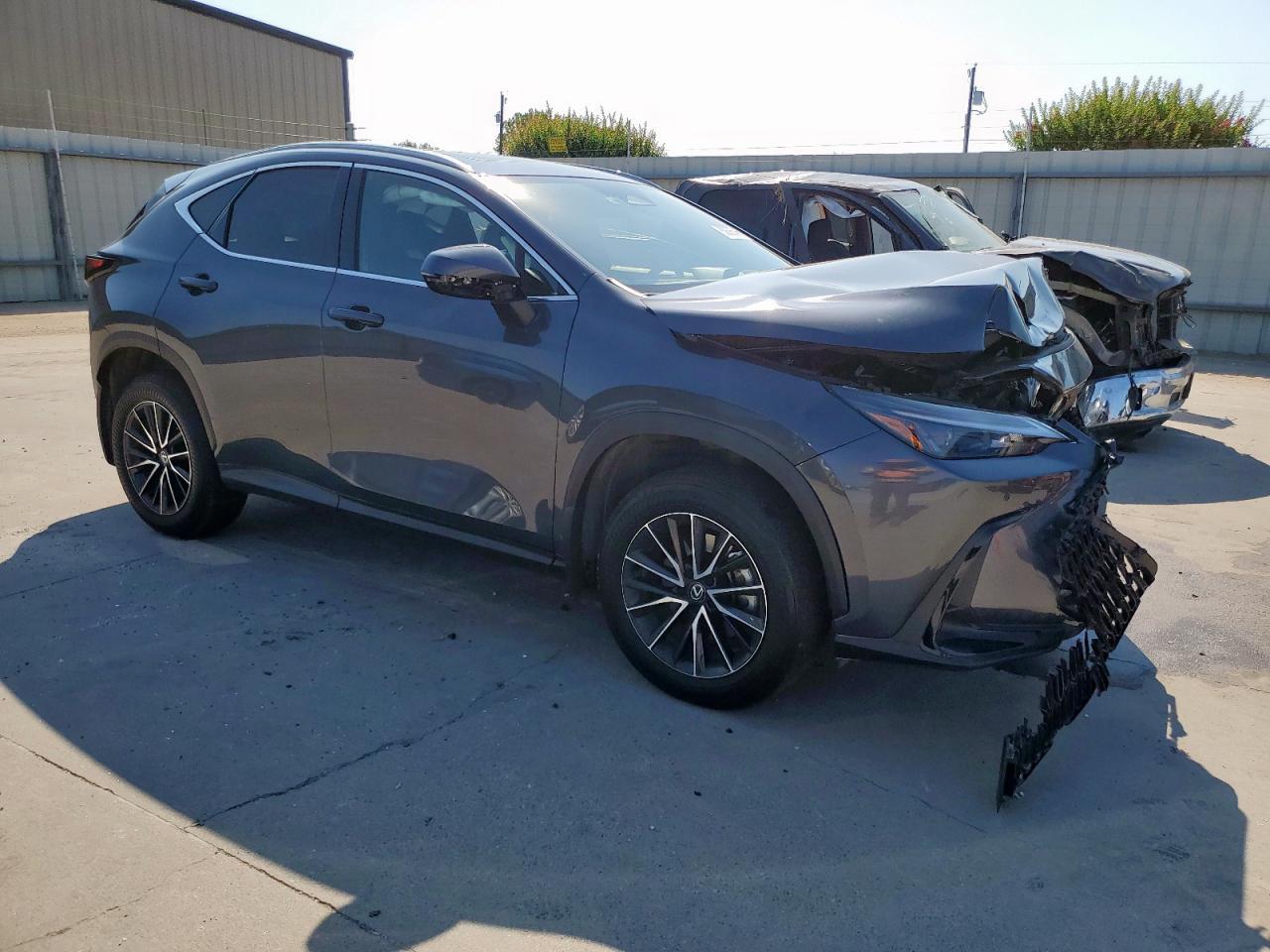 2024 LEXUS Nx