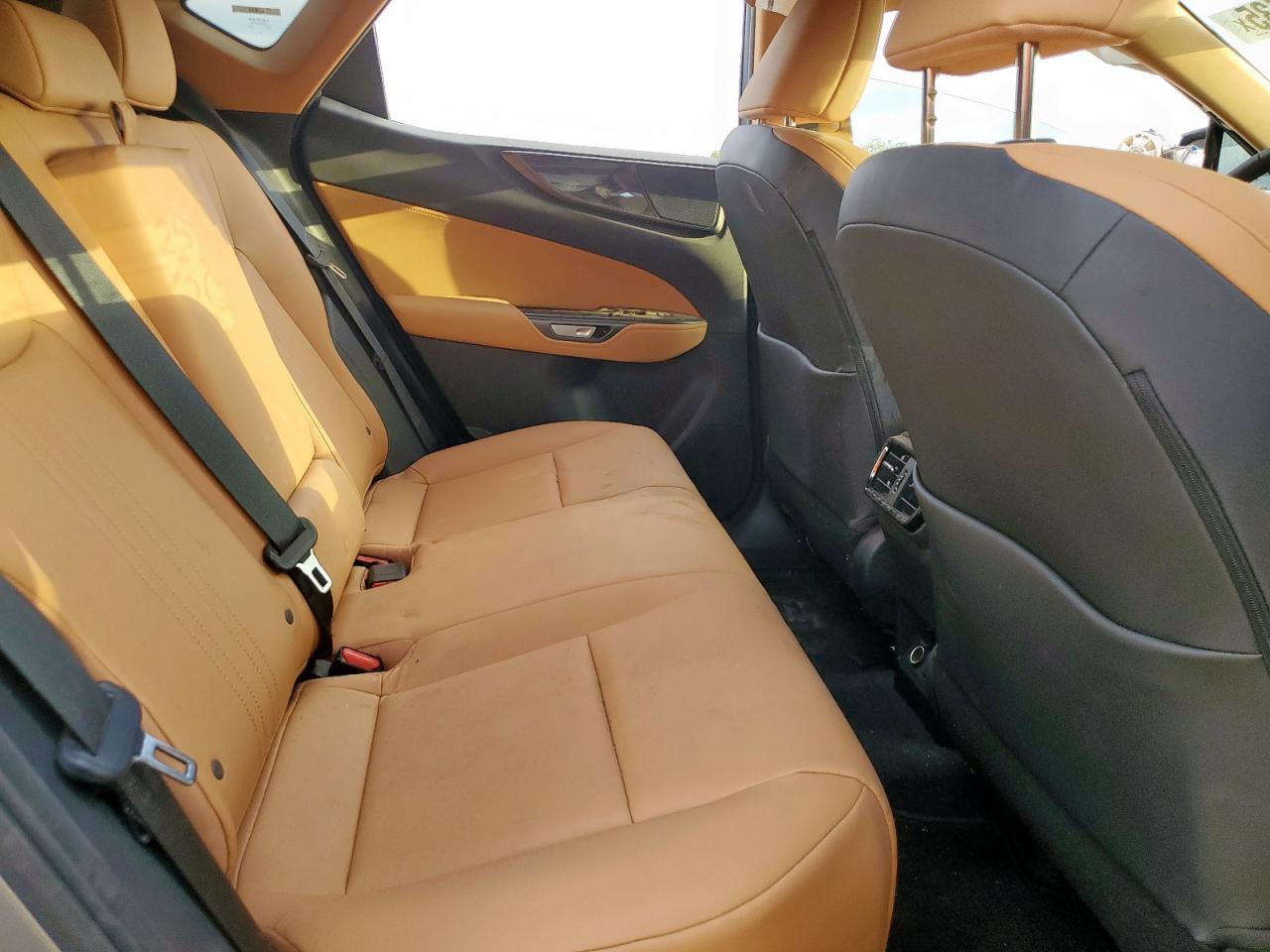 2025 LEXUS Nx