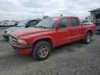 2004 DODGE Dakota