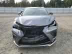 2020 LEXUS Nx