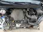 2024 KIA Carnival