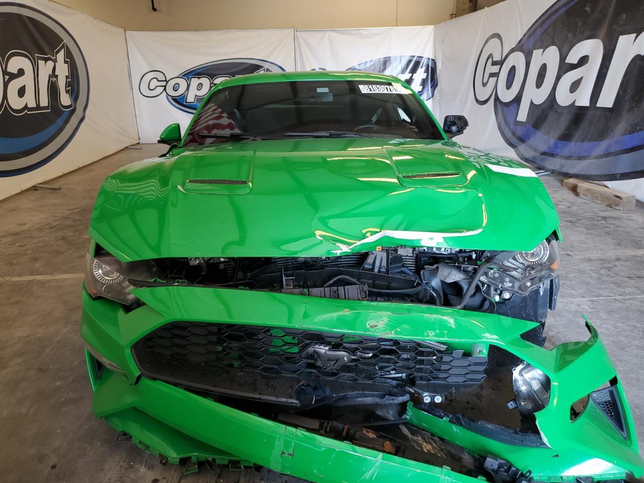 2019 FORD MUSTANG