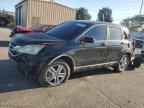 2010 HONDA CR-V