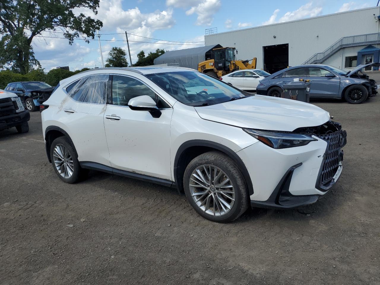 2022 LEXUS Nx