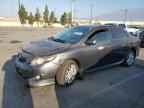 2009 TOYOTA COROLLA