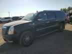 2008 CADILLAC ESCALADE