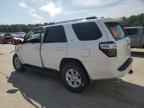 2022 TOYOTA 4Runner