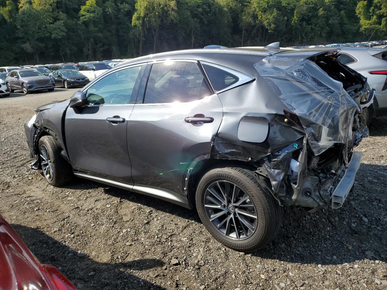 2024 LEXUS Nx