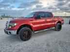 2009 FORD F-150