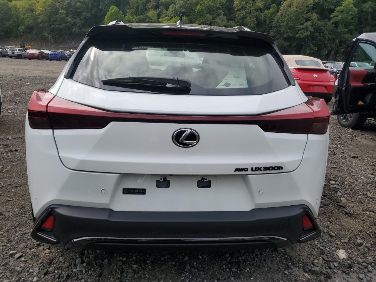 2025 LEXUS Ux