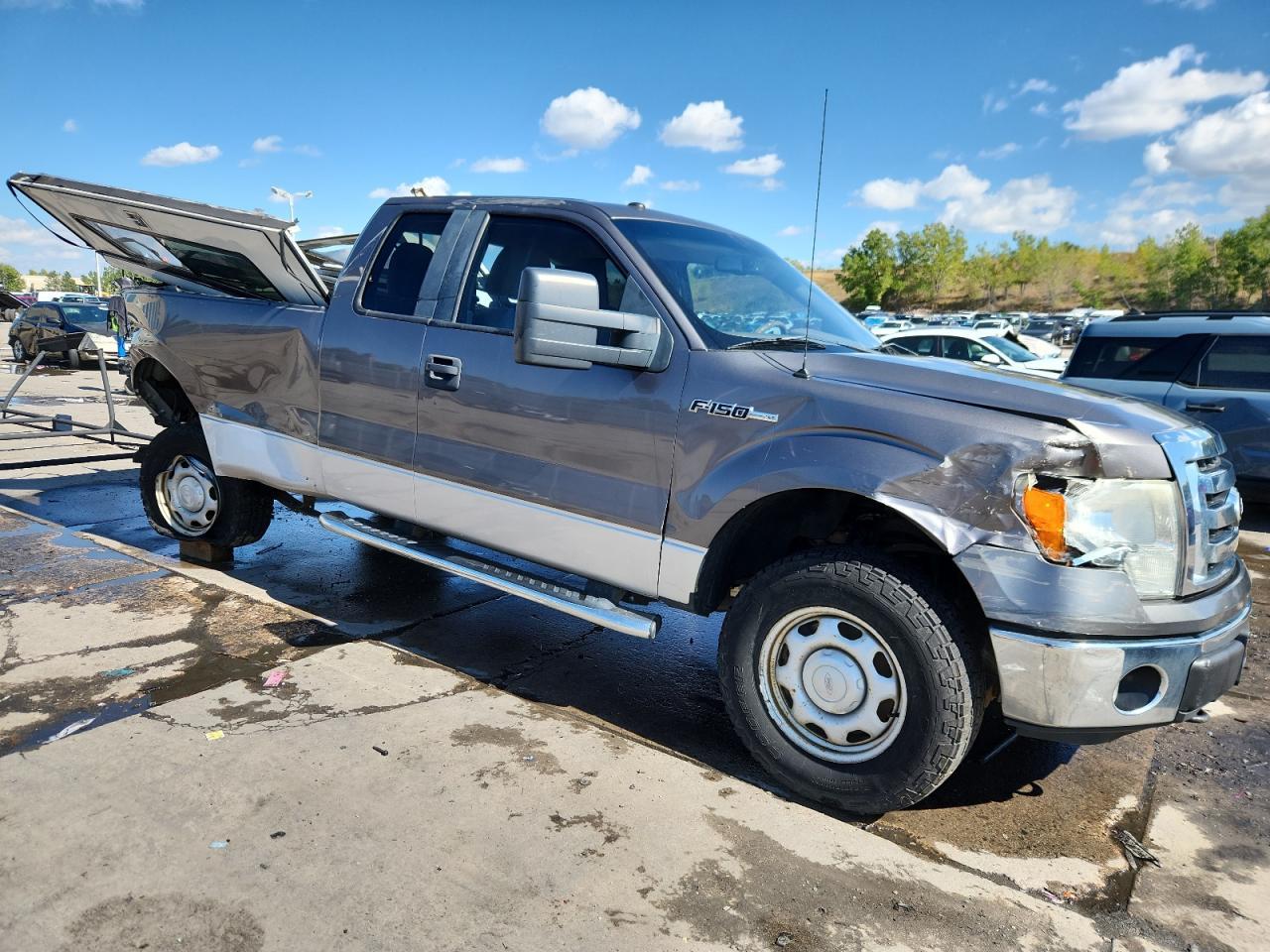 2010 FORD F-150