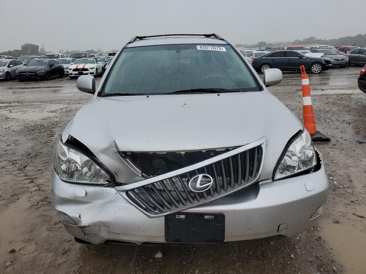 2009 LEXUS Rx