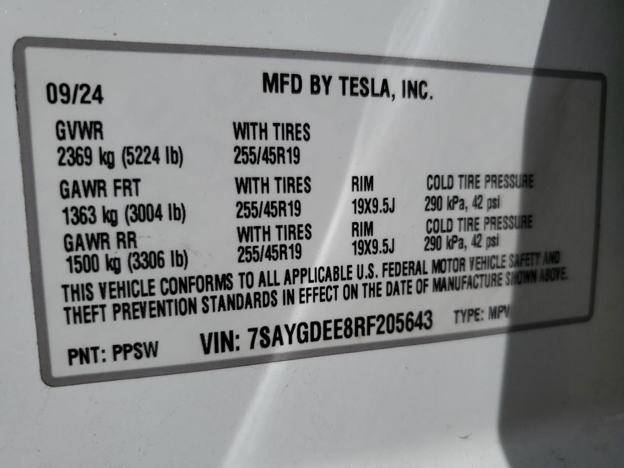 2024 TESLA MODEL Y