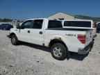 2009 FORD F-150