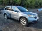2007 HONDA CR-V