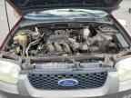 2006 FORD ESCAPE