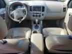 2006 FORD ESCAPE