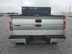 2009 FORD F-150