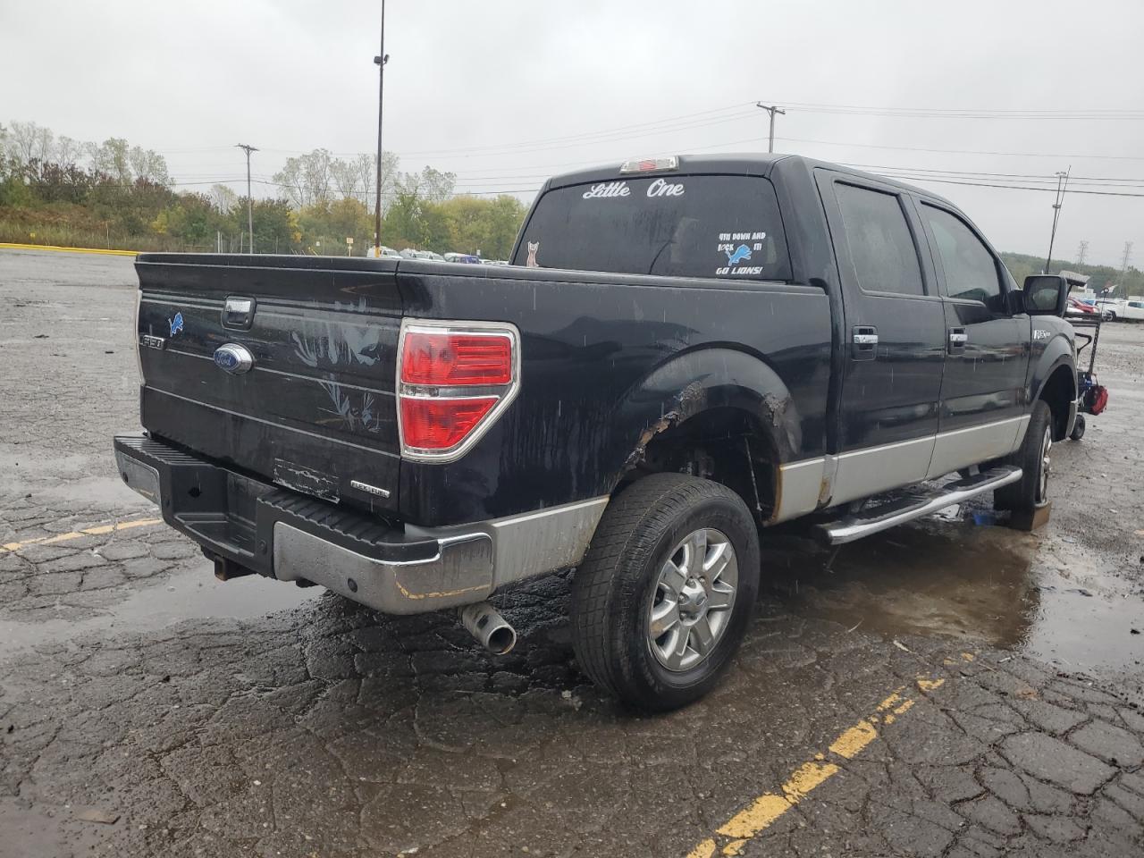 2013 FORD F-150