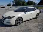 2017 NISSAN Maxima