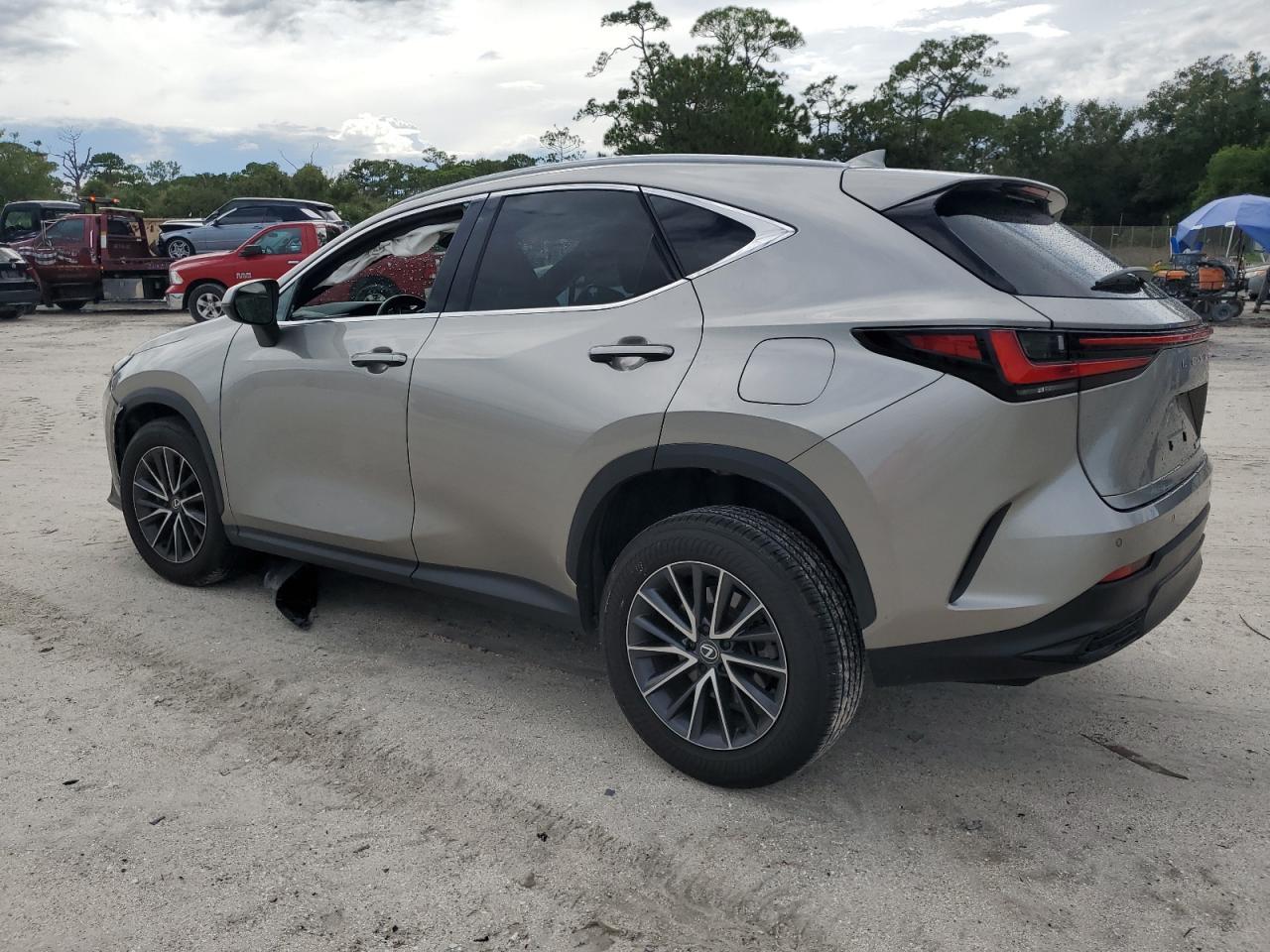 2024 LEXUS NX 250