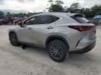 2024 LEXUS NX 250